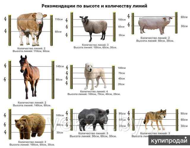 Электропастух Для Коров Комплект Цена