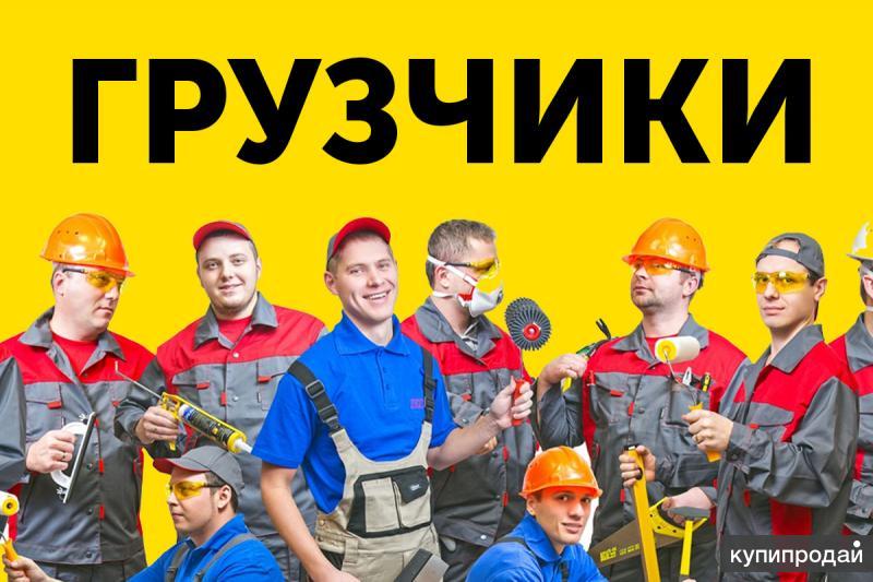 Заказать Грузчиков В Щелково