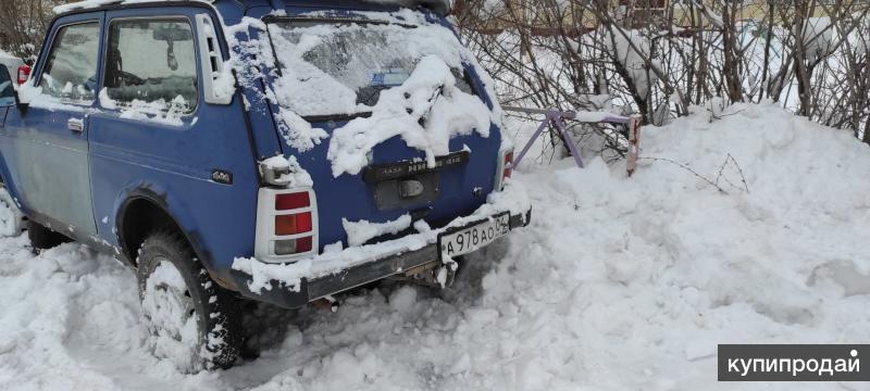 Нива в горно алтайске