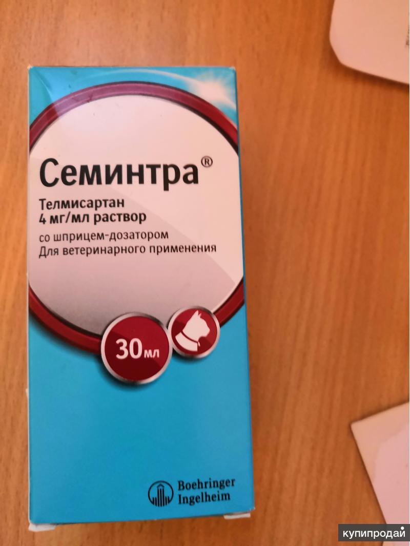 Семинтра купить для кошек