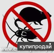 Избавиться от насекомых ,грызунов,паразитов на предприятии