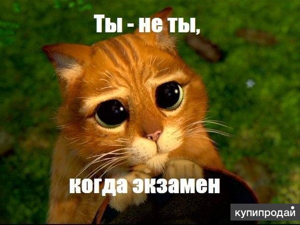 Помощь в обучении студентам