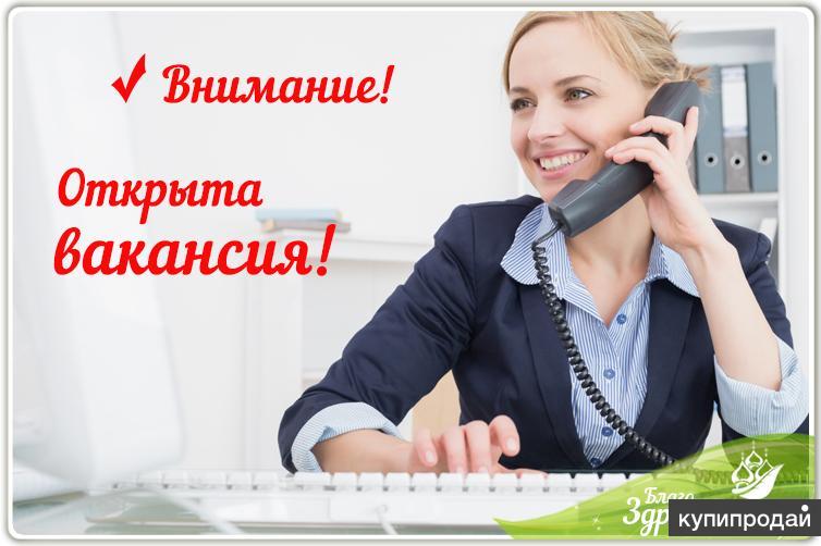 Оператор Интернет Магазина Без Опыта