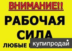Разнорабочие Грузчики Весь спектр работ