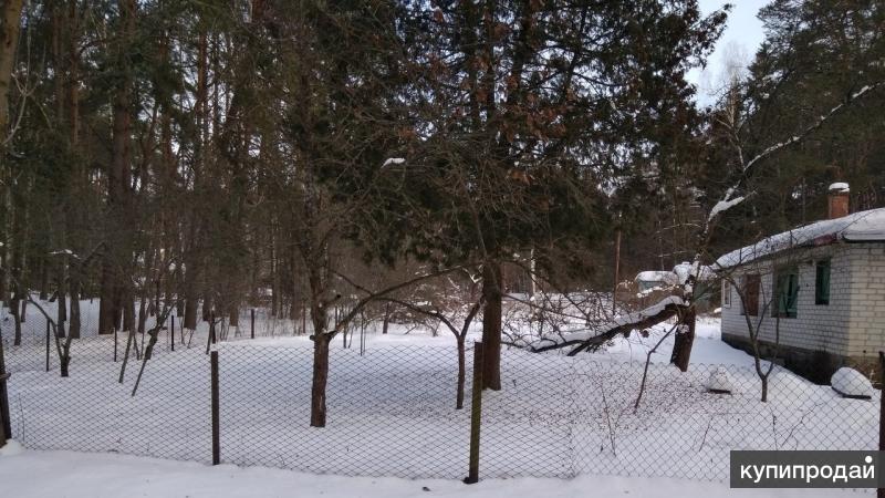 Квартира красный бор смоленск. Красный Бор Смоленск дача. Дом 1 красный Бор Дачная Смоленск. Красный Бор, Смоленск, Лесная улица. Дом с драконом Смоленск в Красном Бору.