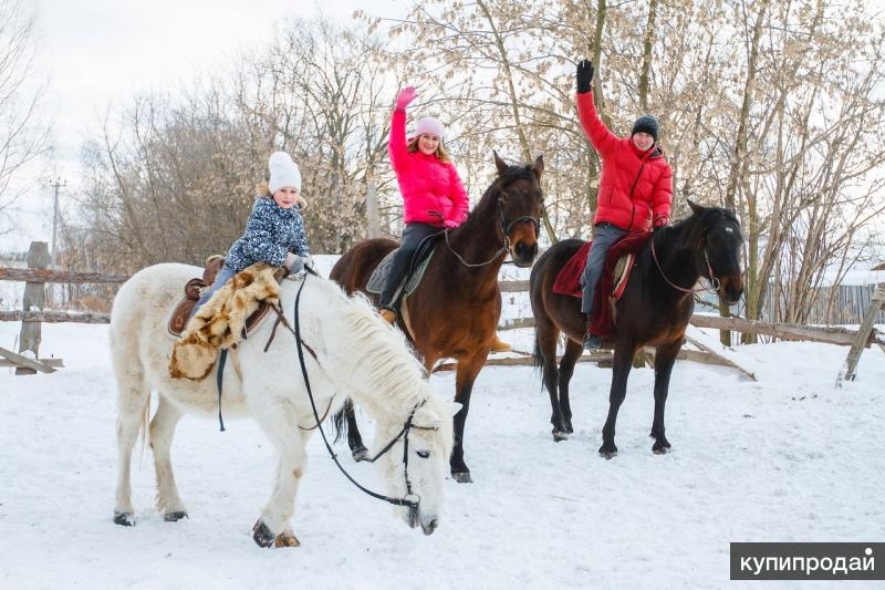 Конные прогулки Нижний Новгород