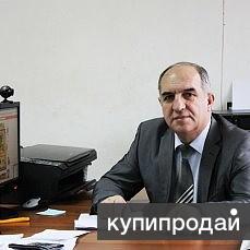 адвокатские услуги
