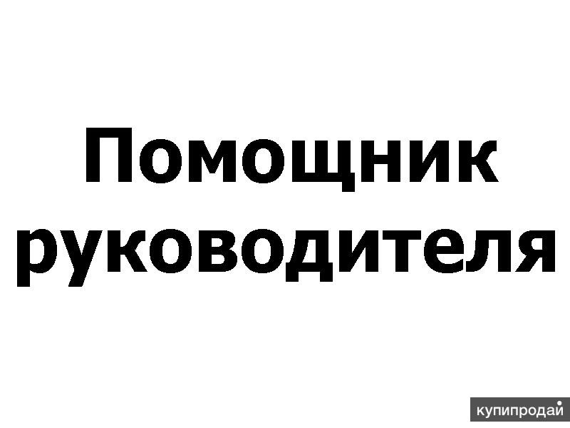 Какой помощник. Требуется помощник руководителя. Надпись помощник руководителя. Помощник руководителя объявление. Помощница руководителя с надписью.