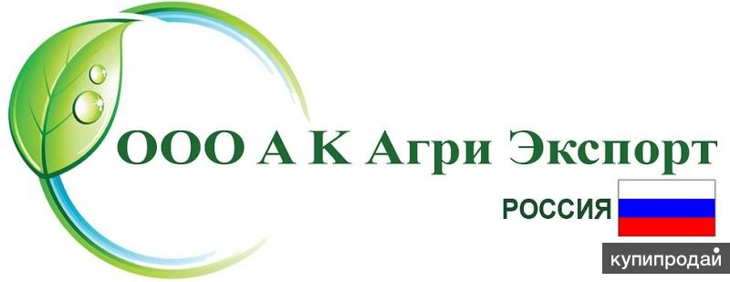 Ооо ак проект