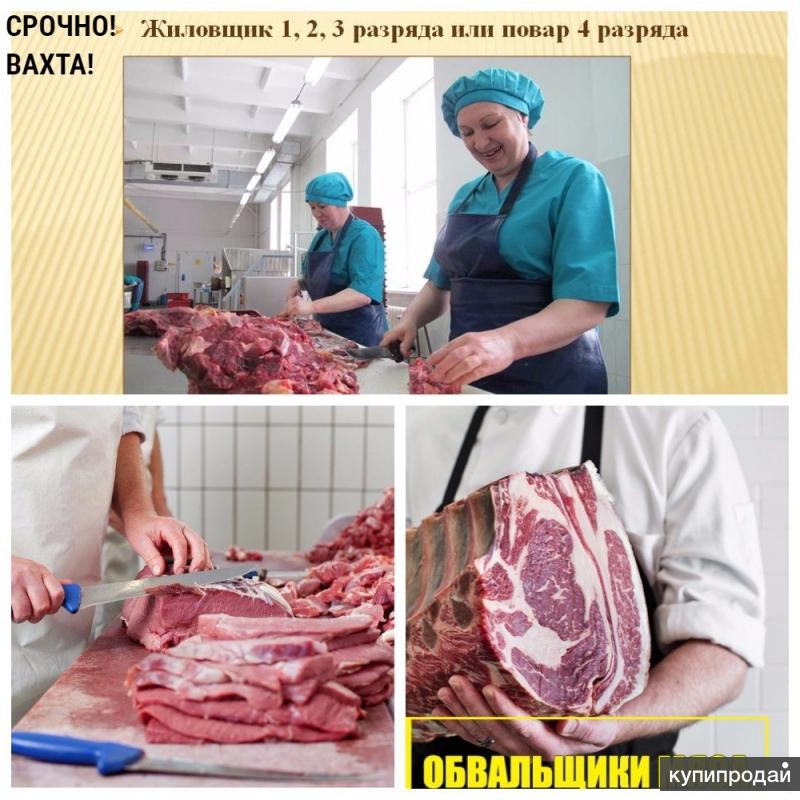 Жиловщик мяса фото