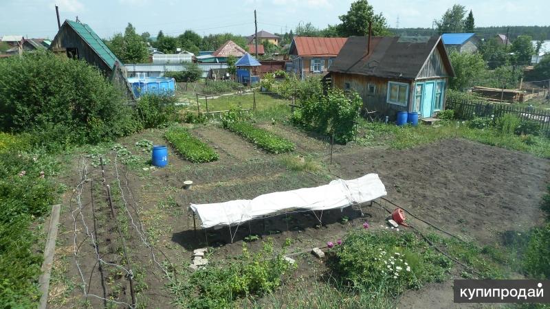 Купить В Садоводстве Барнаул