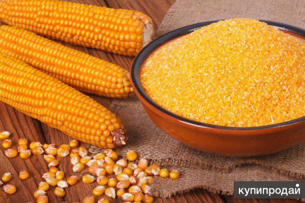Продаю крупу кукурузную в ассортименте оптом