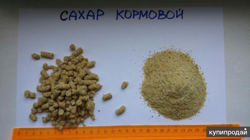 Продаю сахар кормовой оптом