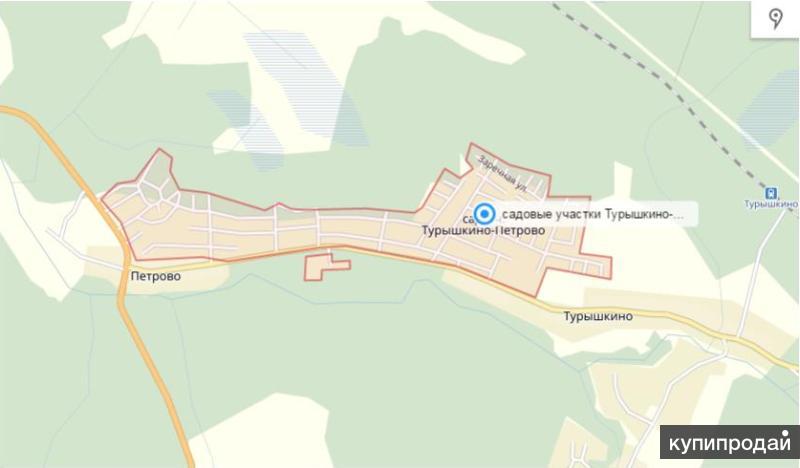 Кадастровая карта турышкино
