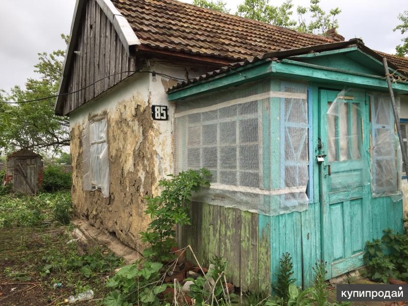 Погода село пискуновское. Пискуновское Краснодарский край. Пискуновский сад.