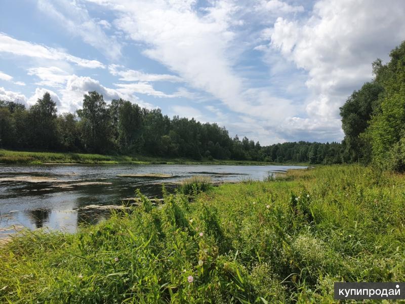 Купить Участок Леса В Собственность