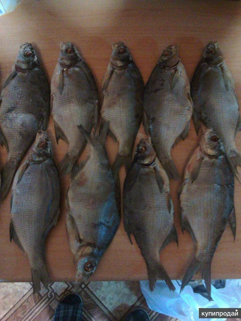 Купить рыбу в саратове. Рыба в Костроме. Буффало рыба вяленая. Вяленая рыба Павлово. Рыбы Костромской области.
