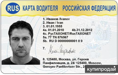 Как выглядит водительская карта