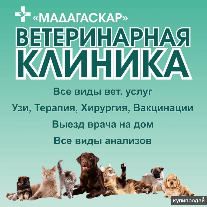 Ветеринарная клиника