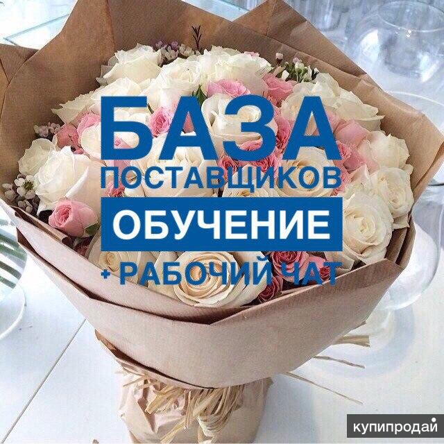 База Поставщиков Нижнего Белья Для Интернет Магазина