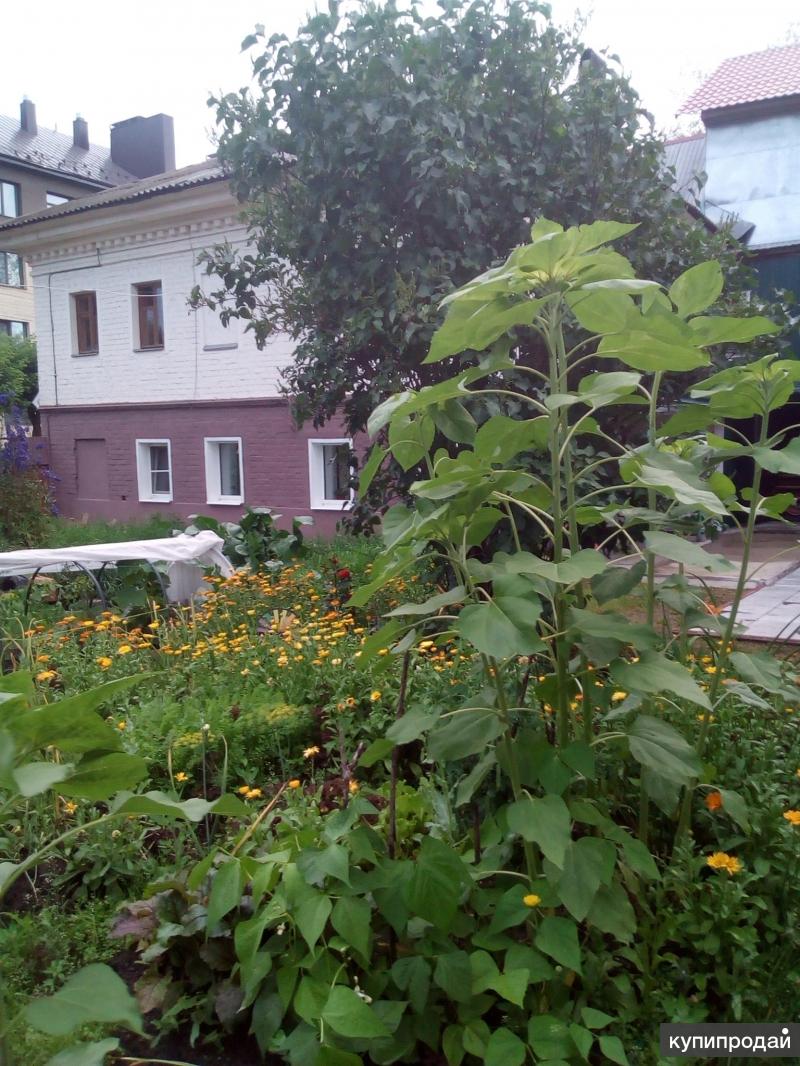 2-к квартира, 63 м2, 2/2 эт.