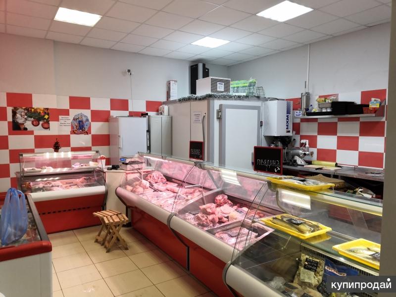 Купить Готовый Мясной Магазин