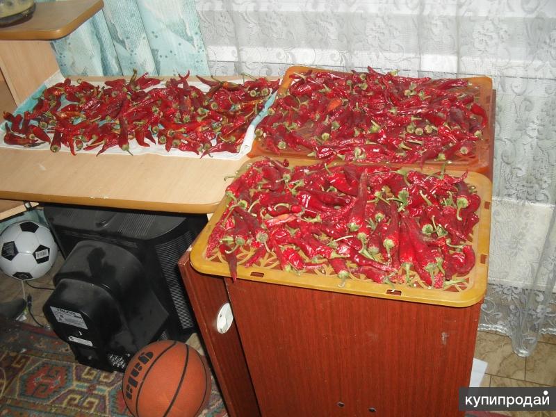 Продам красный молотый перец (кайенский )