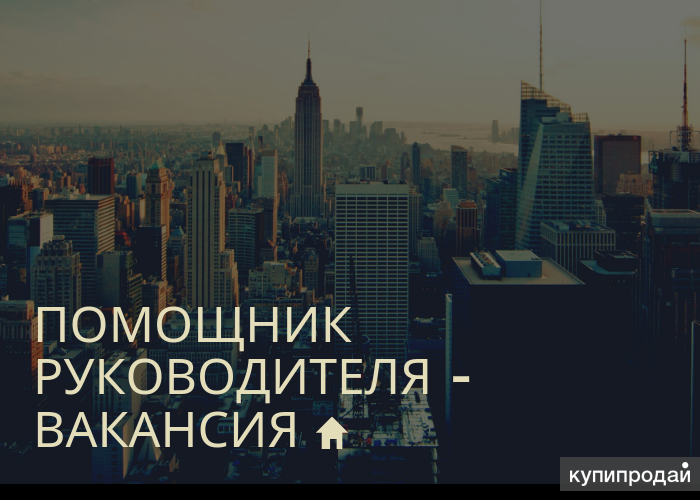 Помощник руководителя