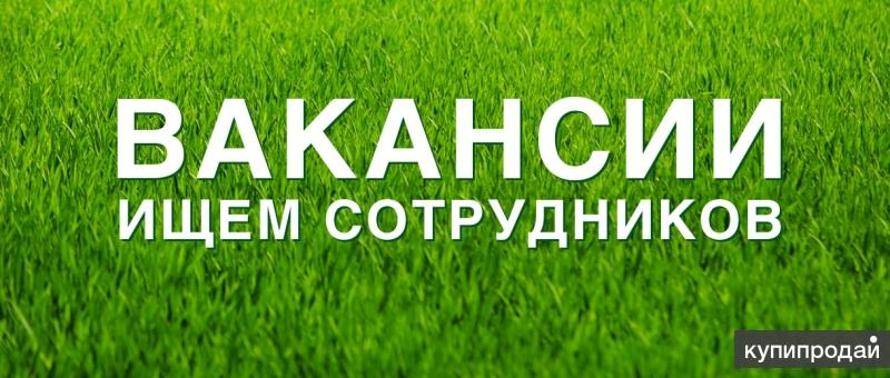 менеджер для работы удаленно