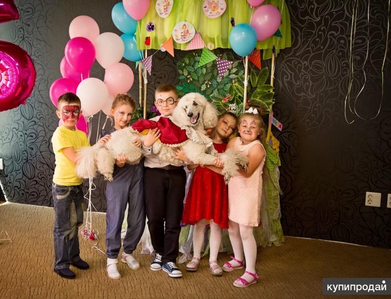 детский праздник курск. детский праздник курск. сезам, курск, семёновская улица. курск день рождения ребенка где отметить. детский праздник курск.