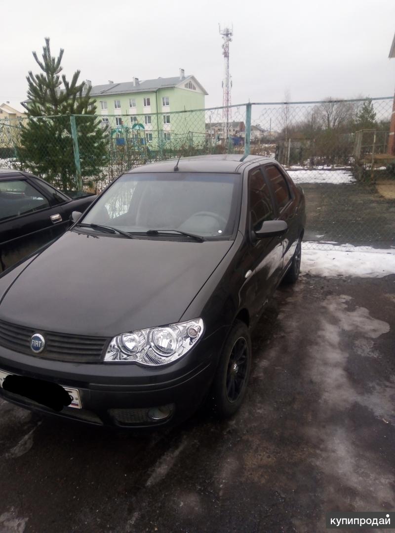Fiat Albea, в Вологде