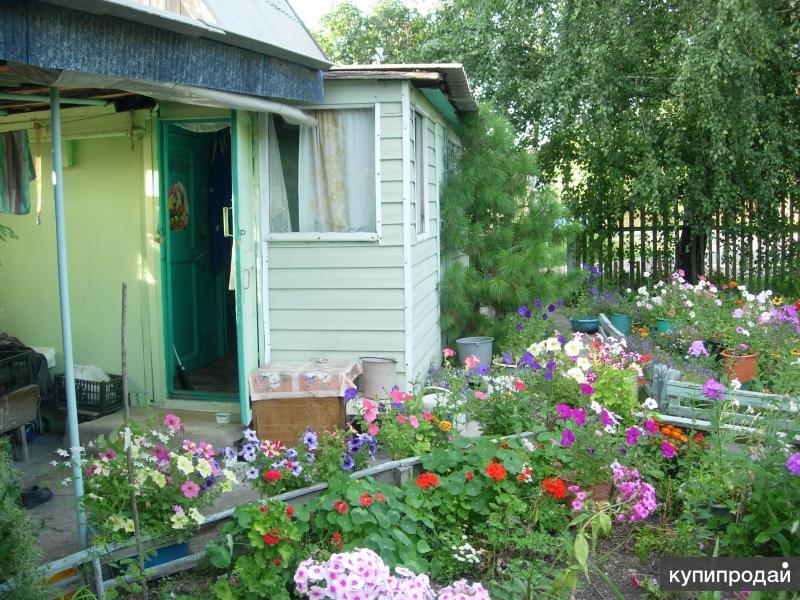 Дача в омске. Дачи на продажу в СНТ Рэбовская. Дачи на РЭБ Омск , название садовых товариществ. СНТ карат Омск болото. Дача в Омске возле Рэба.