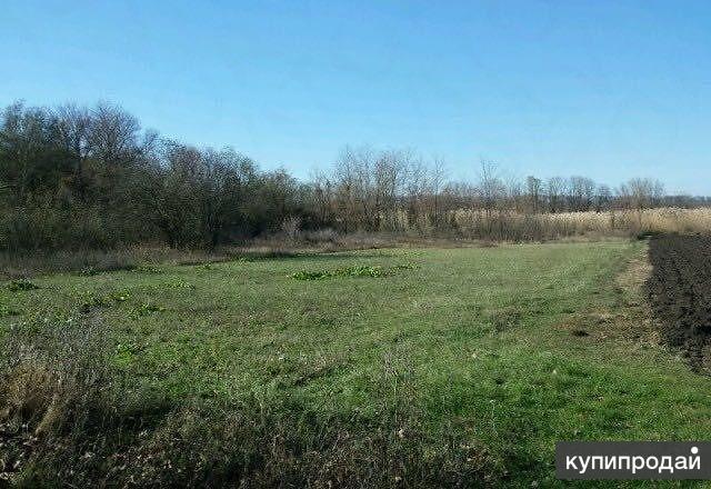 Купить Участок Новопокровское Нижний