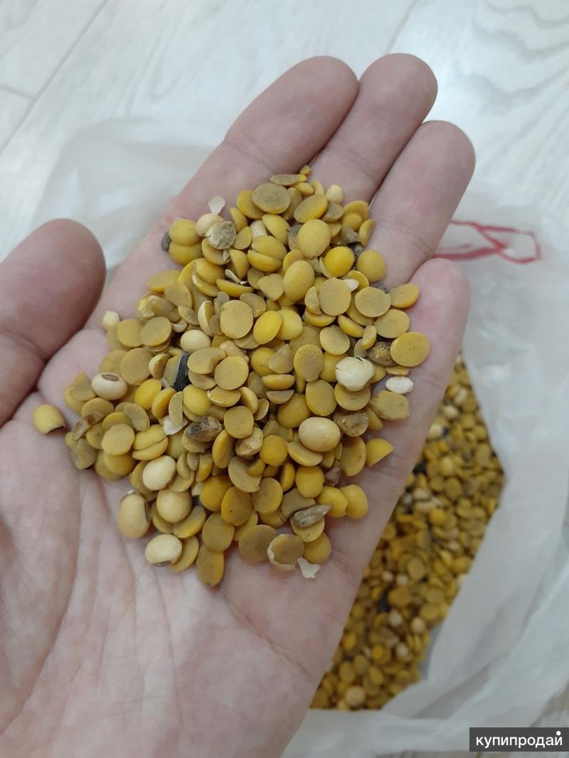 соэ анализ крови расшифровка у детей. соэ 16 мм/ч у женщины. экструдированная соя. соэ норма для женщин в крови в 40 лет. соэ анализ крови расшифровка норма у женщин таблица.