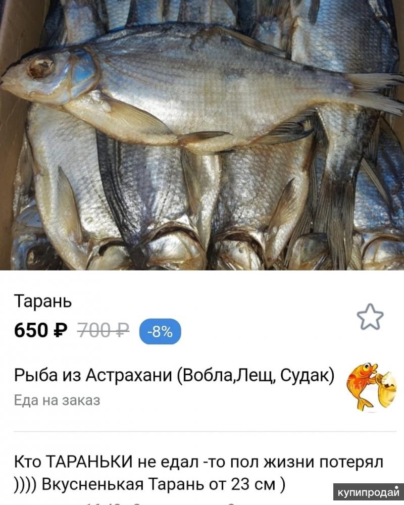 Астраханская рыба виды