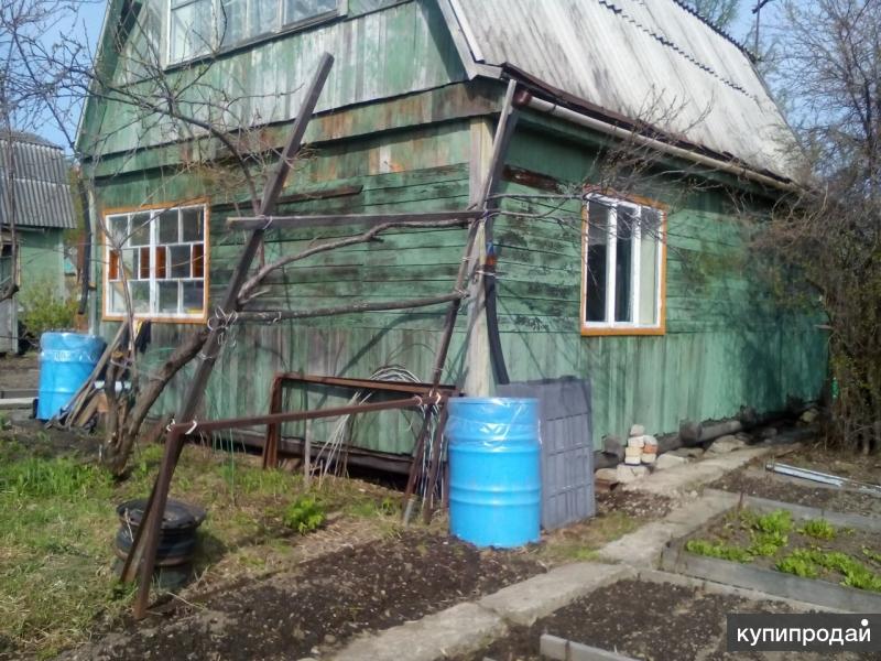 свежие дачи комсомольск на амуре. дача в комсомольске на амуре.