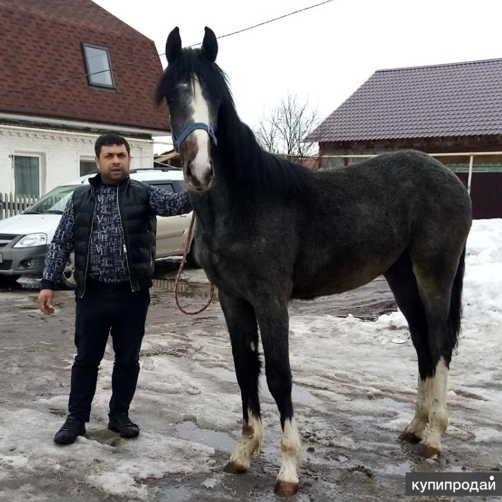 Корпусная мебель в каменске уральском