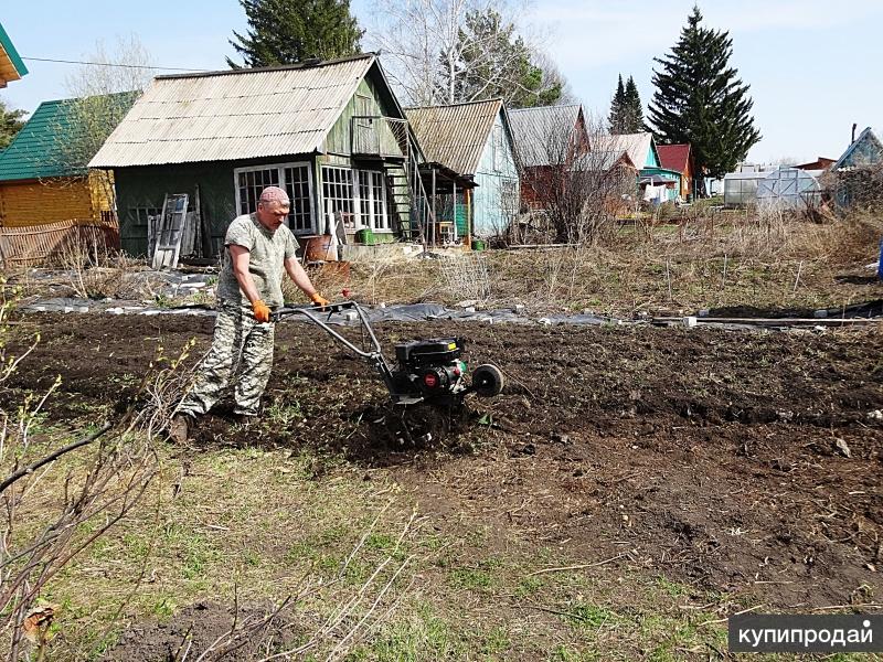 Вспашка земли мотоблоком фото