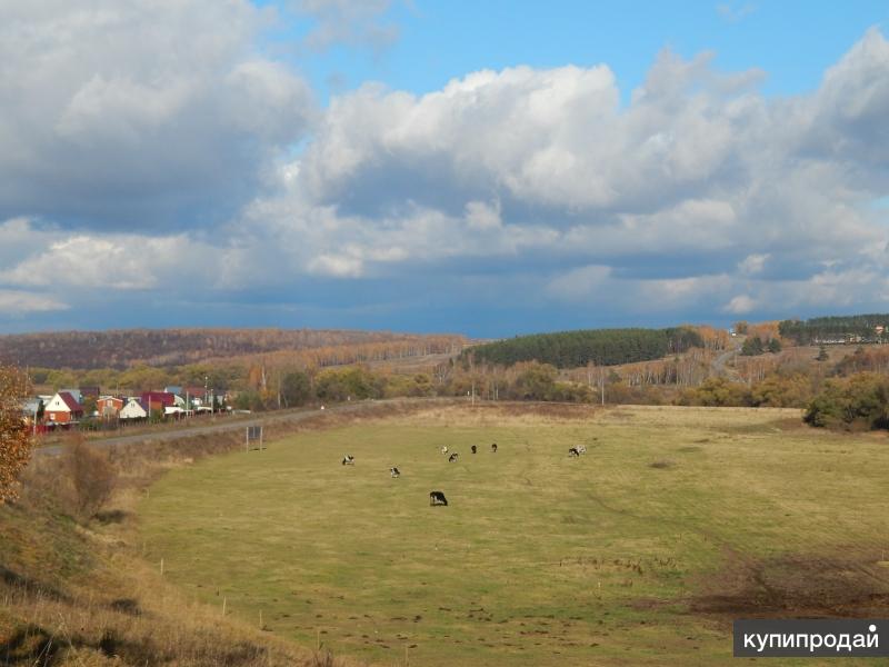 Участки на дону. Земля в Тульской области. Тульская область деревня Хмельново. Земельные участки в Тульской области. Участки Тульская область.