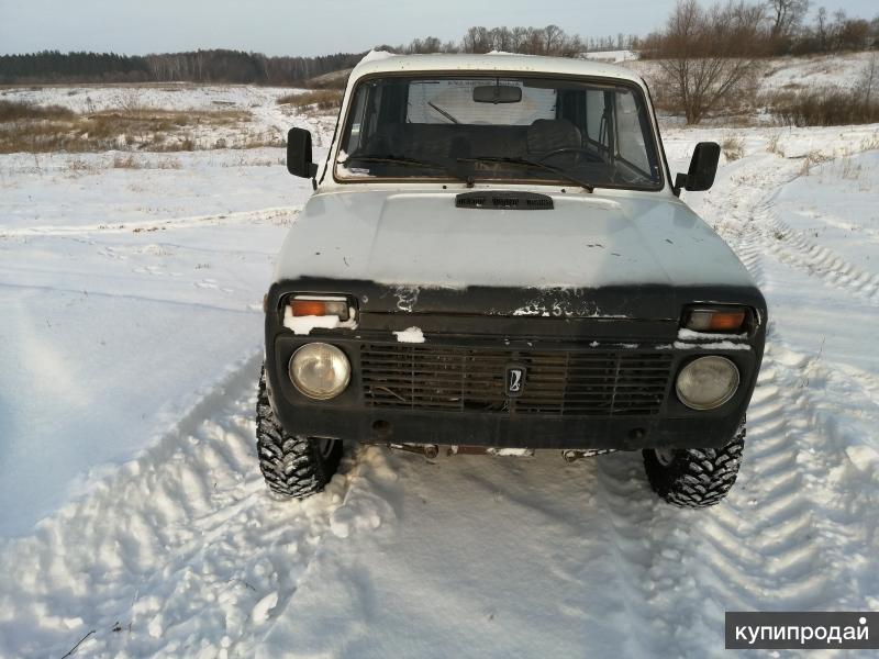 Нива в оренбургской области