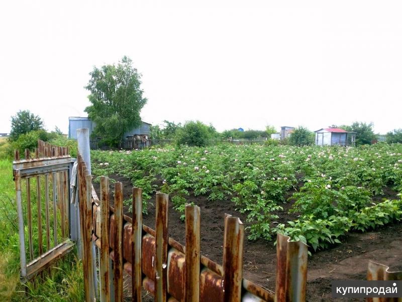 Купить Ижс Участок В Омске Недорого