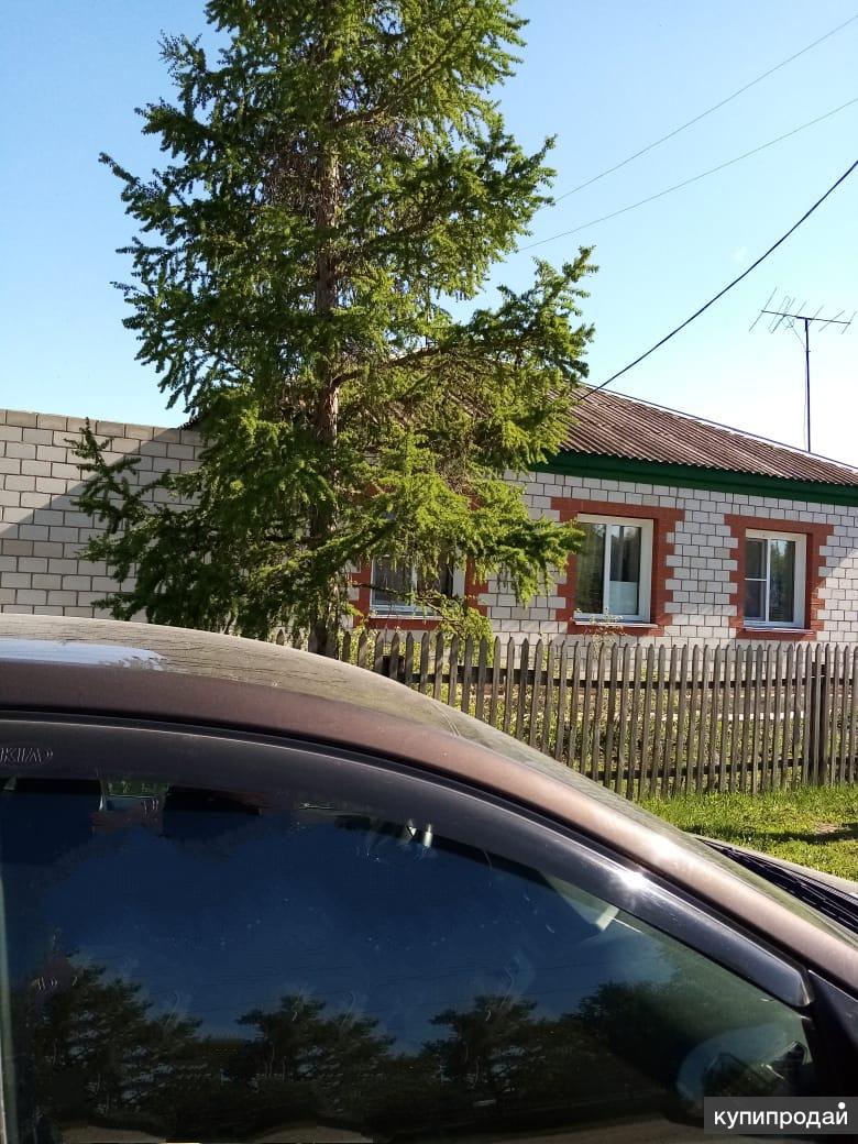 погода в чернокурье. село чернокурья. курья железногорск. карасук чернокурья. погода в чернокурье.