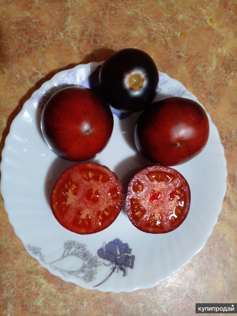 Семена урожайных томатов. Сорт томата карбон. Помидор плодоносит семена. Томаты с антоцианом розовые плоско круглые семена.