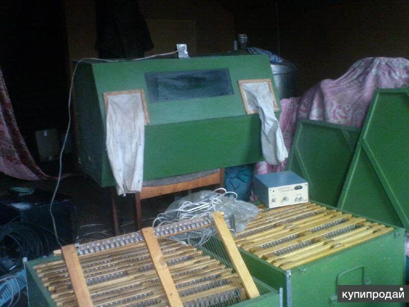 Отвердитель этал 2м к. Apis 50. Мазь ветеринарная для заживления ран раносан. Этиленгликоль 40 литров. Super-lift пилинг 50 ml.