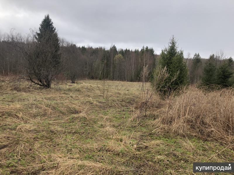 Купить Участок Юрково Сокольский Район Нижегородская Область