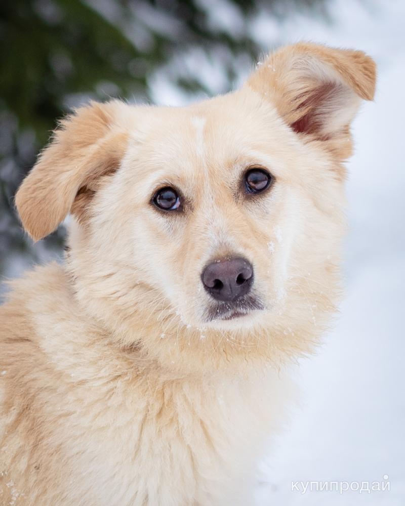 возьми меня согрей меня. так хочется в твои объятия. нелюбимая любовь. красивые картинки о любви и нежности. возьми меня согрей меня.