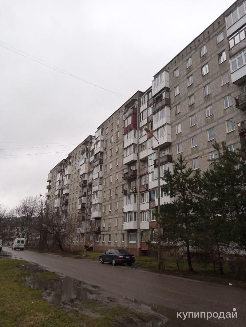 Недвижимость Калининградской Области Купить Квартиру