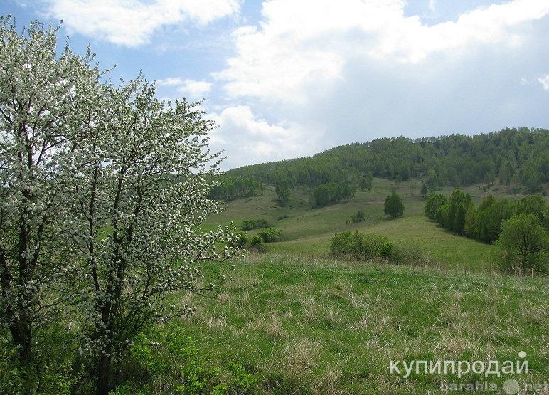 Купить Участок В Ая Алтайский Край