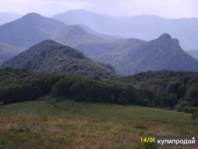 Туапсе зеленая долина фото