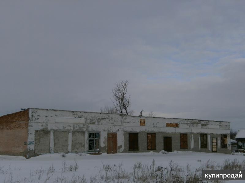 куриловка новоузенский район. село куриловка липецкая область.